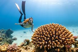 15 Best Things to Do in Hurghada 2025: Ultimate Activity Guide