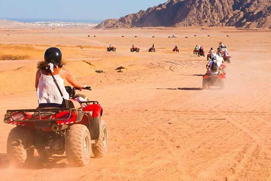 Top 5 Luxury Safari Packages for Discerning Travelers