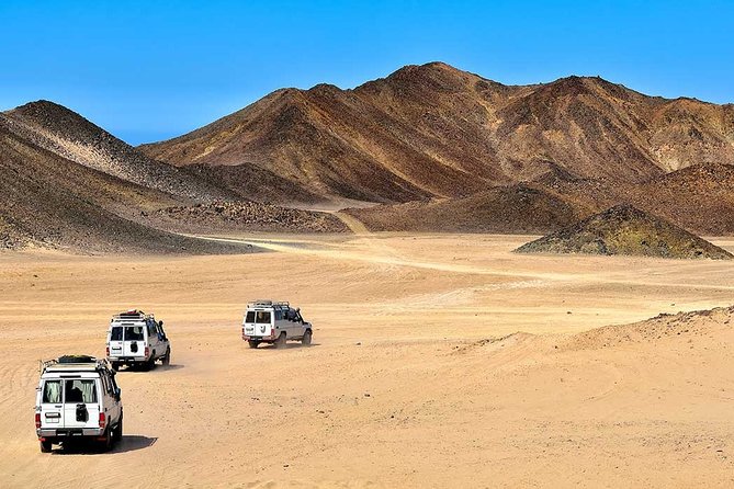 Jeep Safari – Explore the Royal Oasis